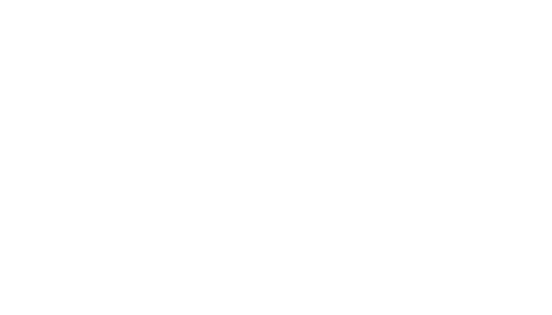 RSFIC